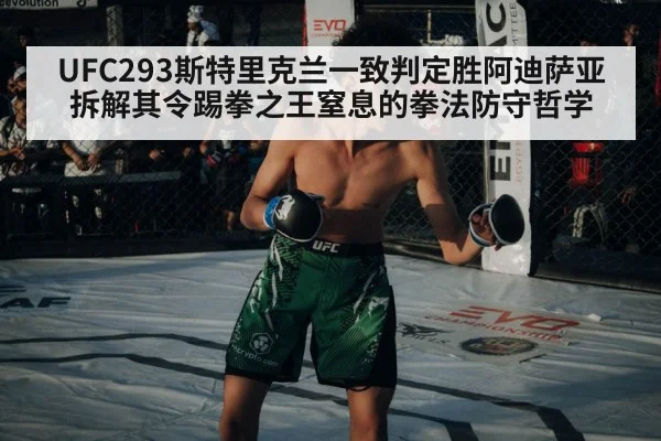 UFC octagon fight